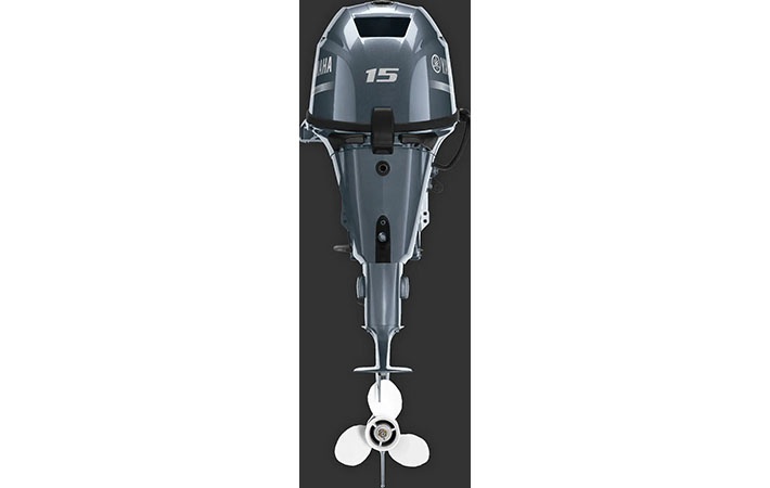 Moteur Hors-bord F15C